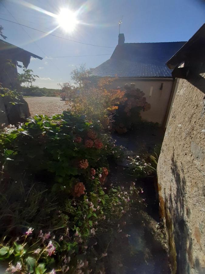 Maison A La Campagne - Piscine Beaulieu-sur-Layon Bagian luar foto
